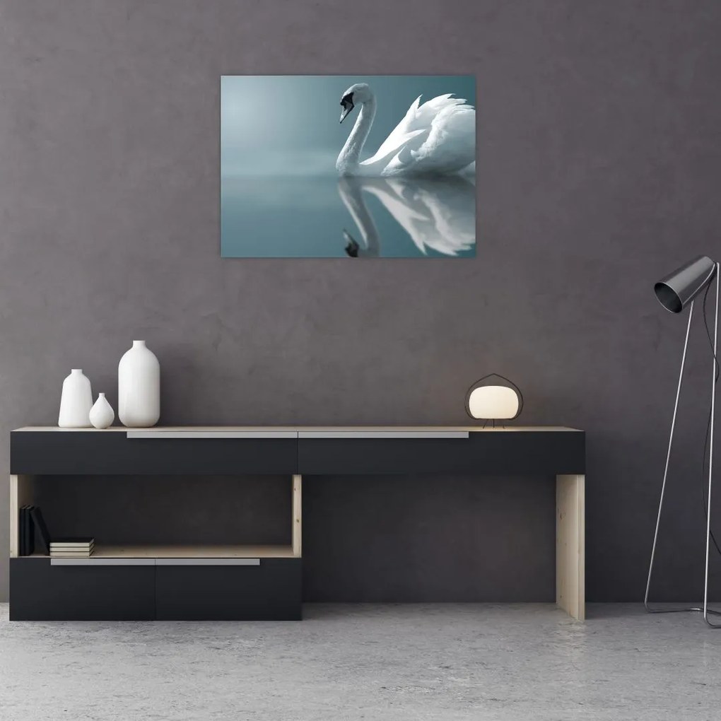 Sklenený obraz - Biela labuť (70x50 cm)