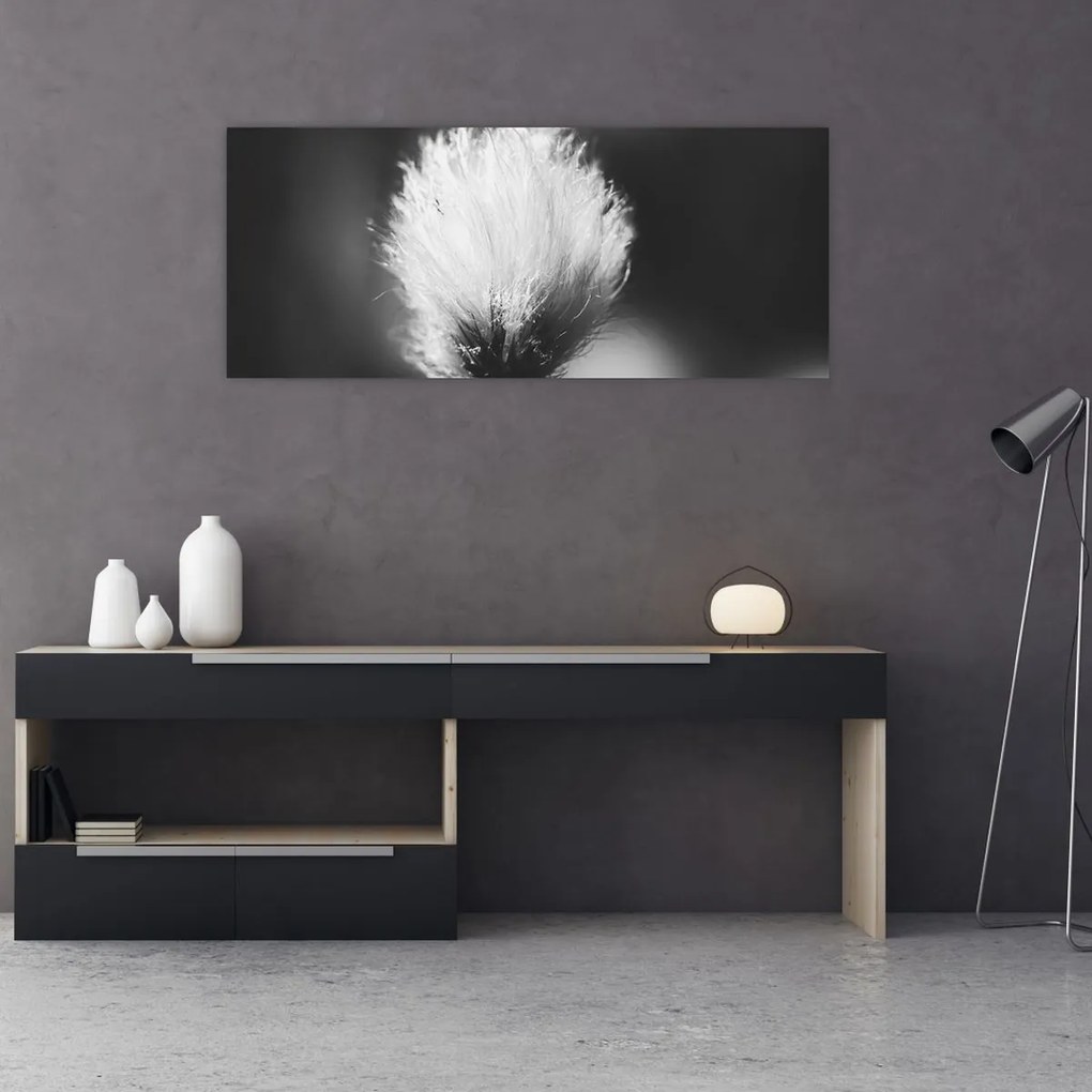 Obraz - Čiernobiely cottongrass (120x50 cm)