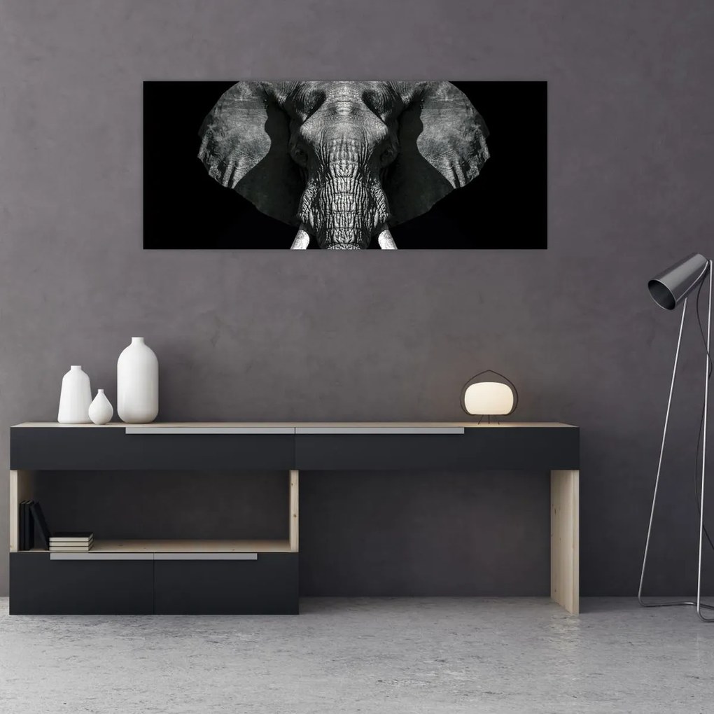 Obraz - Slon na čiernom pozadí (120x50 cm)