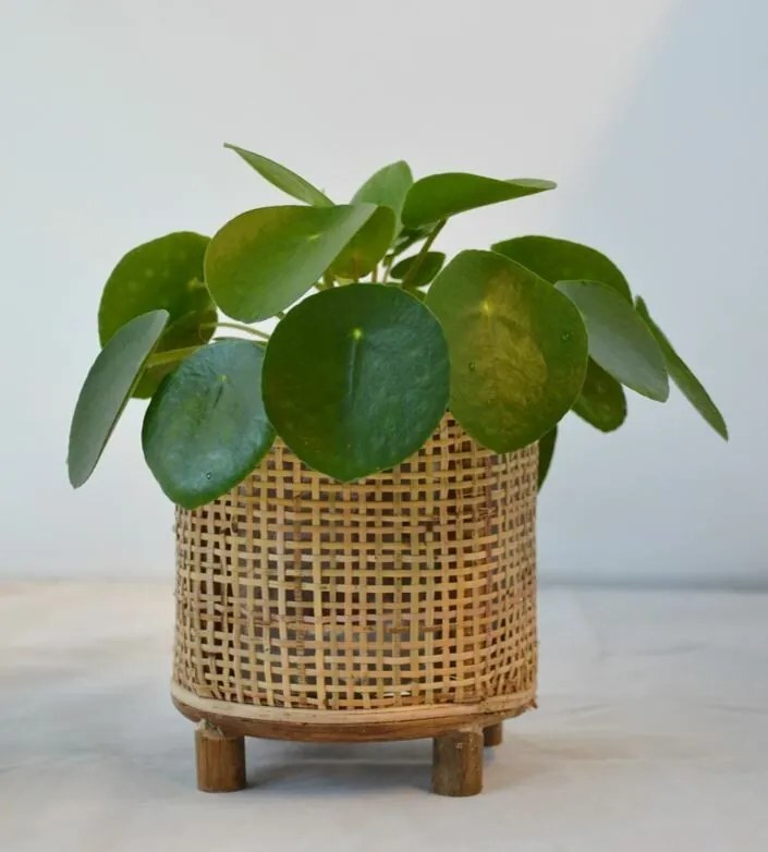 Okrúhly bambusový kvetináč na nožičkách Bamboo - Ø17 * 18 cm