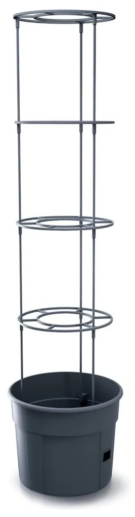 PROSPERPLAST Kvetináč na pestovanie paradajok TOMATO GROWER antracit 29,5 cm (max. výška: 115,2 cm) Veľkosť: L