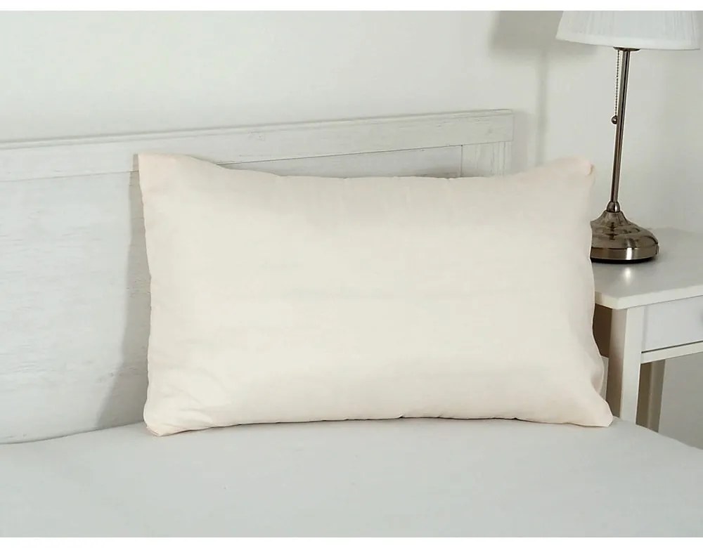 Obliečka na vankúš z mikrovlákna 45x75 cm Summer – B.E.S.