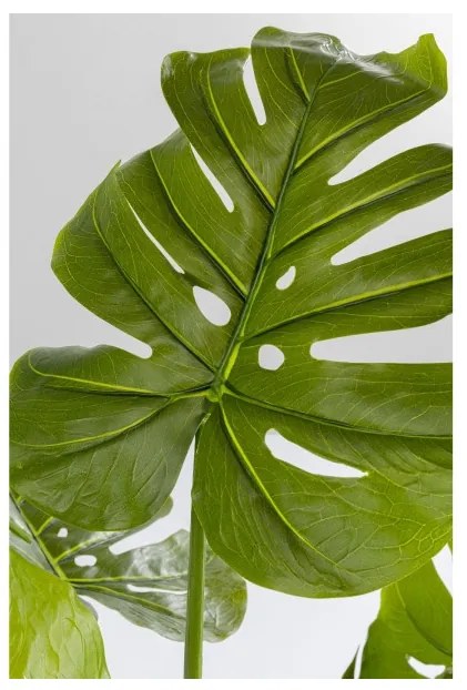 KARE DESIGN Dekoratívna rastlina Monstera 110 cm 110 × 50 × 40 cm