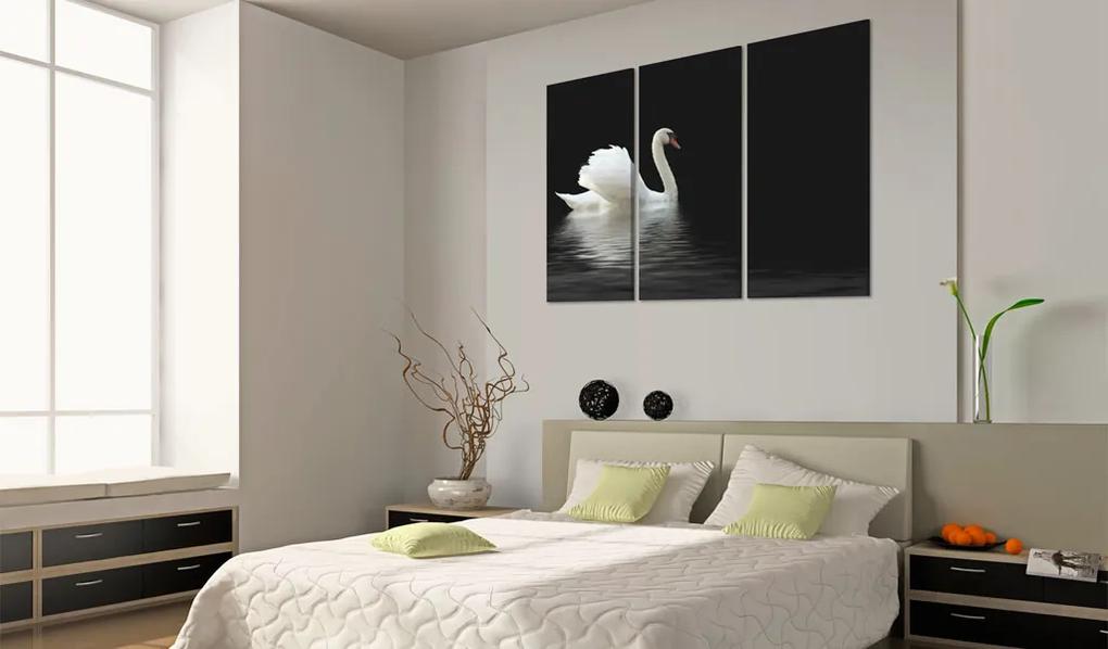Artgeist Obraz - A lonely white swan Veľkosť: 60x40, Verzia: Na talianskom plátne