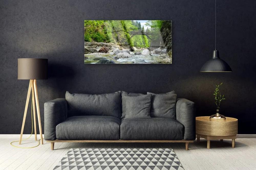 Skleneny obraz Drevený most v lese 100x50 cm