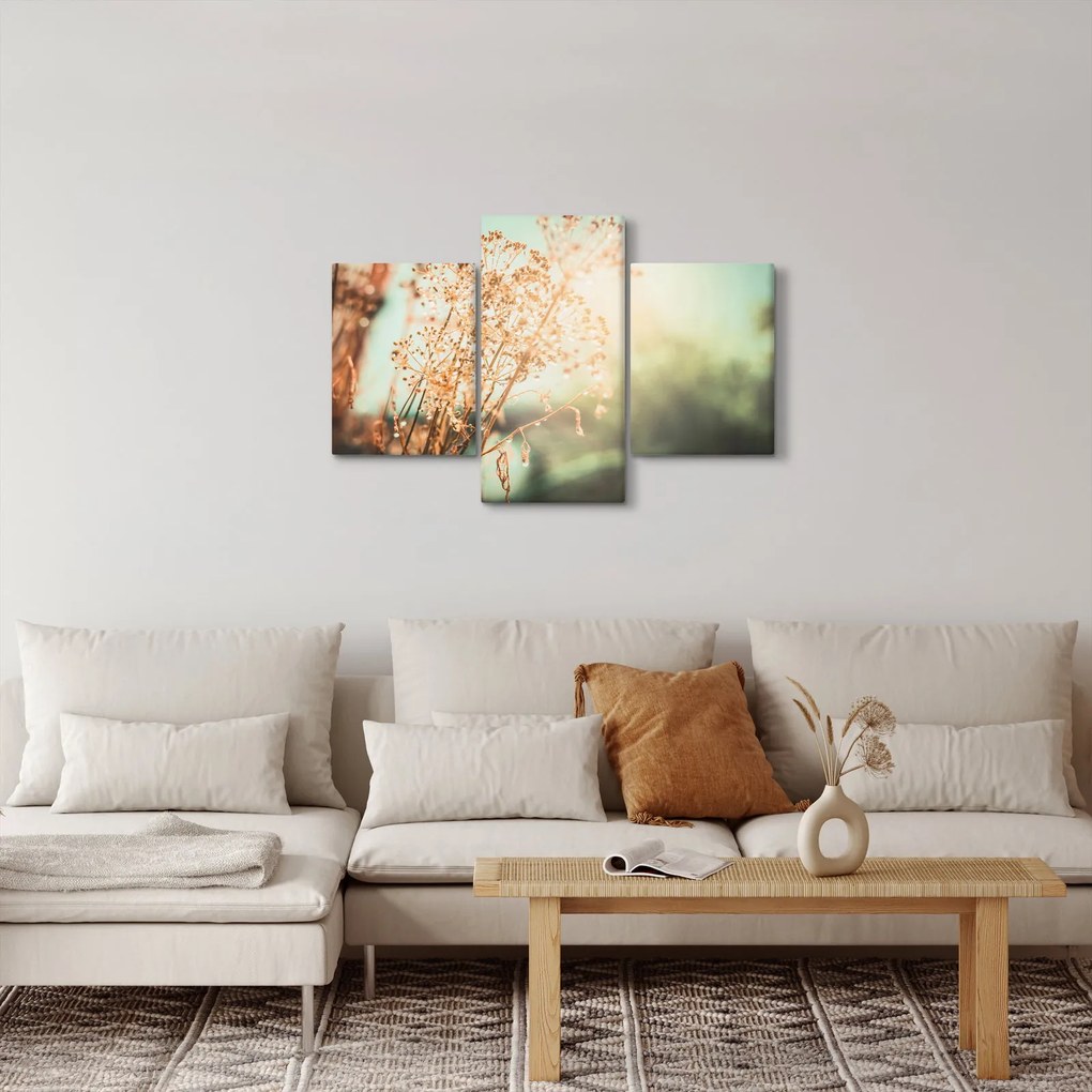Obraz - Rastliny po daždi (90x60 cm)