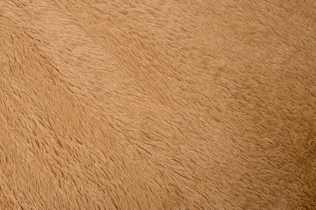 TA Koberec BÉŽOVÁ BÉŽOVÉ HODVÁB Rozmer: 120x170 cm