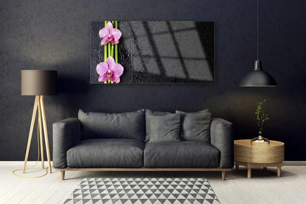 Obraz plexi Bambus kvet rastlina príroda 120x60 cm