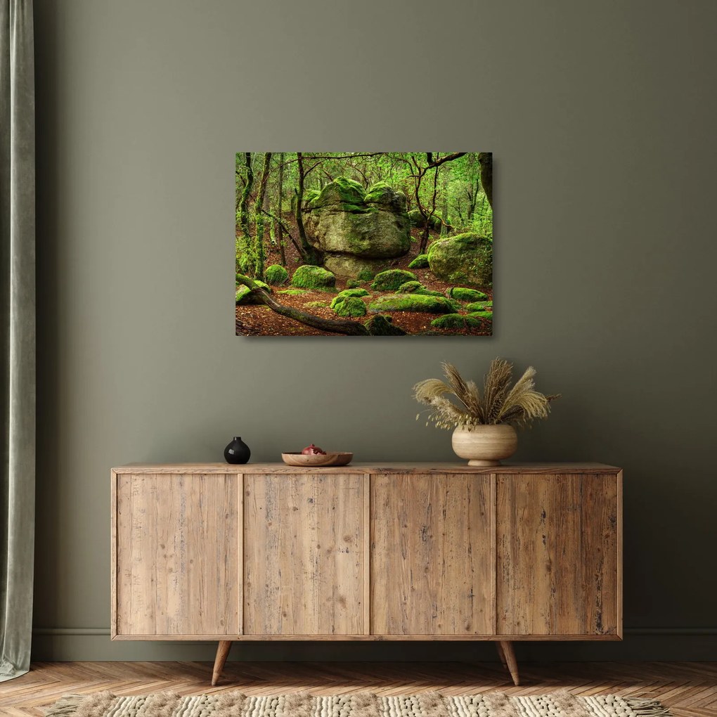 Sklenený obraz čarovného lesa (70x50 cm)
