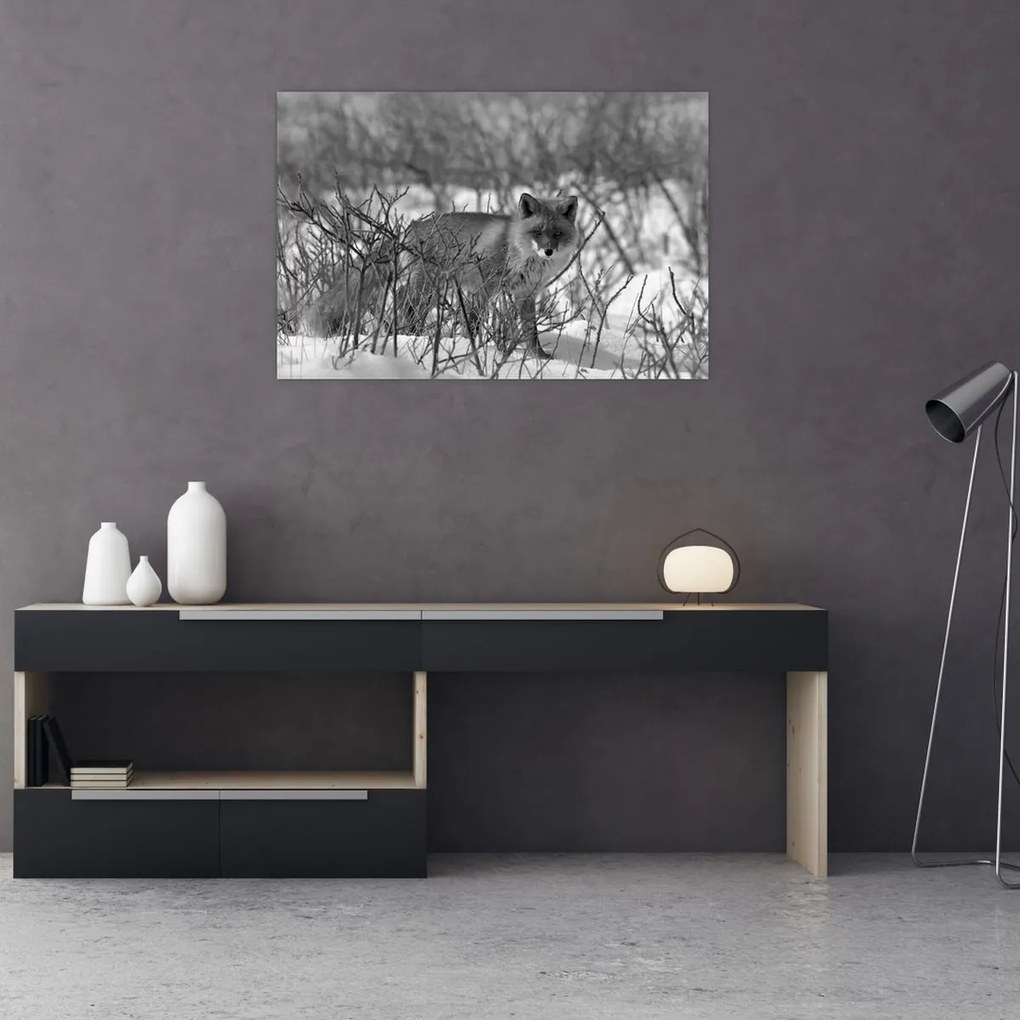 Obraz - Líška v zime (90x60 cm)