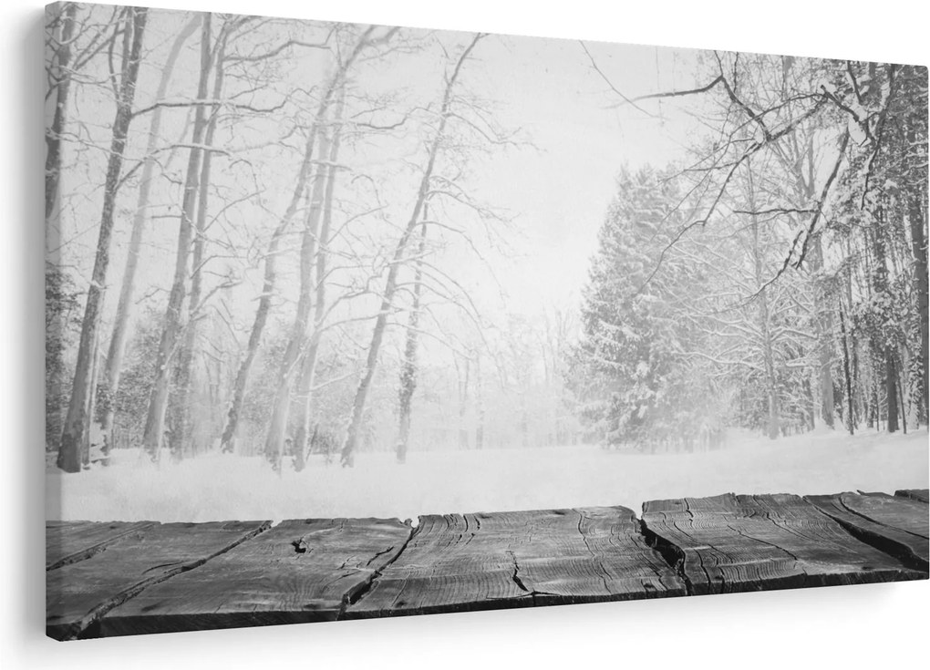 Obraz - Drevené mólo v zime (90x60 cm)