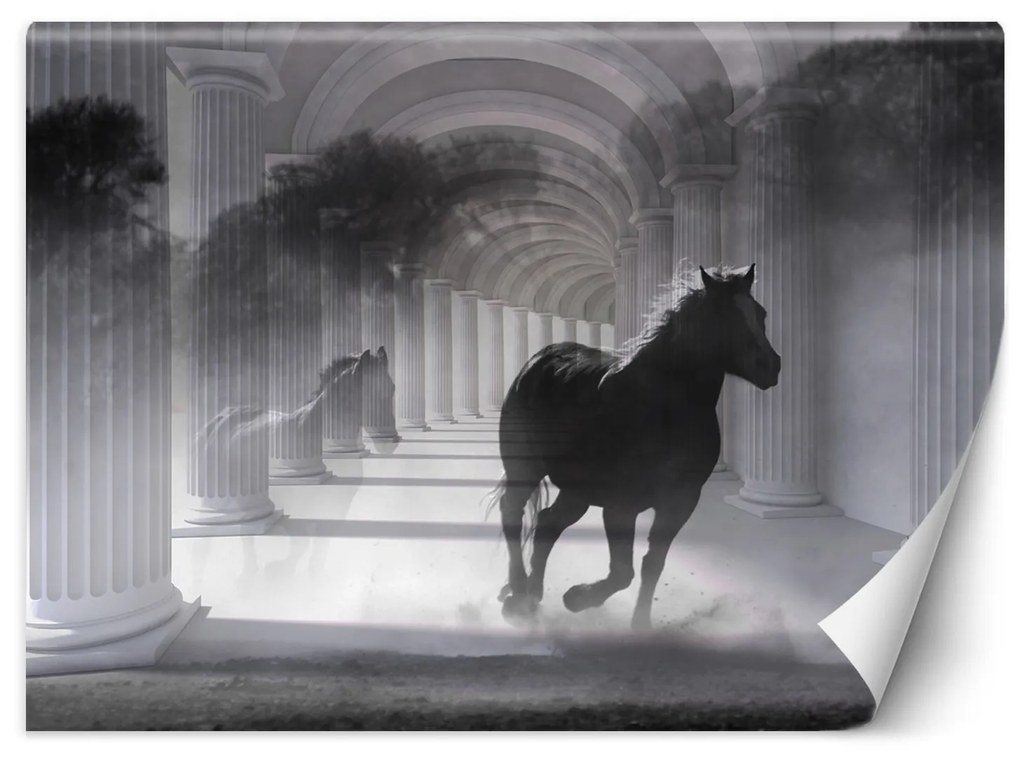 Gario Fototapeta Bežiaci kôň Materiál: Vliesová, Rozmery: 200 x 140 cm