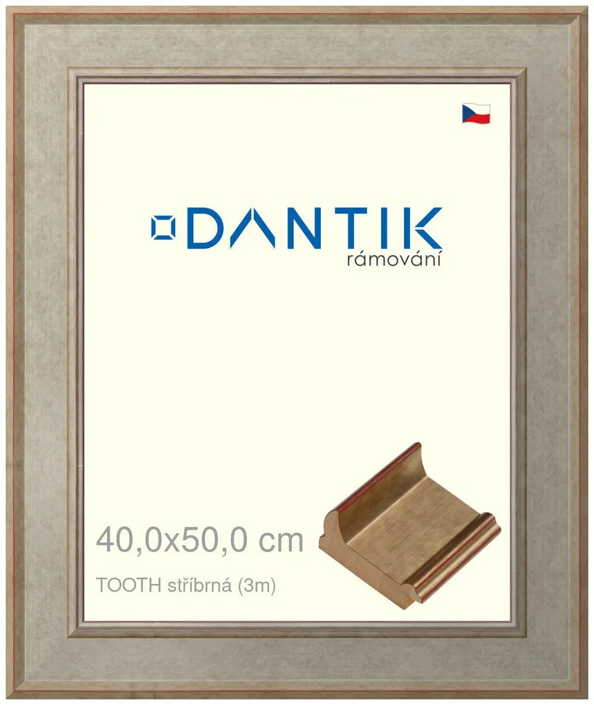 DANTIK rám na obraz 40x50 | TOOTH stříbrná (Plexi Čiré)