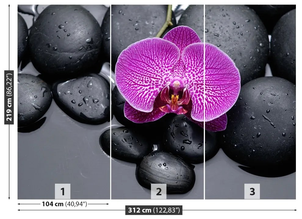 Fototapeta Vliesová Orchidea kamene 208x146 cm