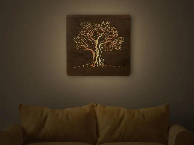 Led obraz na stenu strom Olivovník