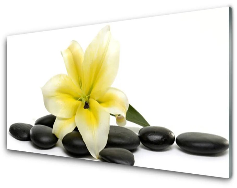 Obraz na akrylátovom skle Kvet kamene umenie 125x50 cm