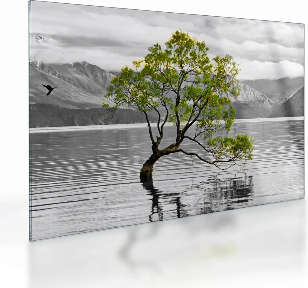 Sklenený obraz stromu uprostred jazera (70x50 cm)