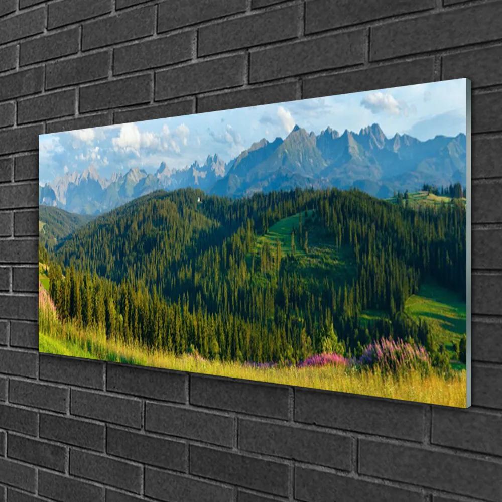 Skleneny obraz Hora les príroda 140x70 cm