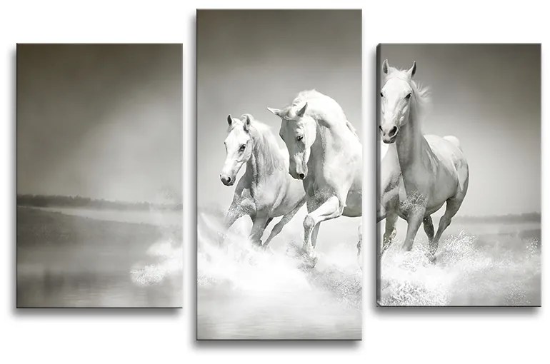 Sablio Obraz - 3-dílný Biele kone - 75x50 cm