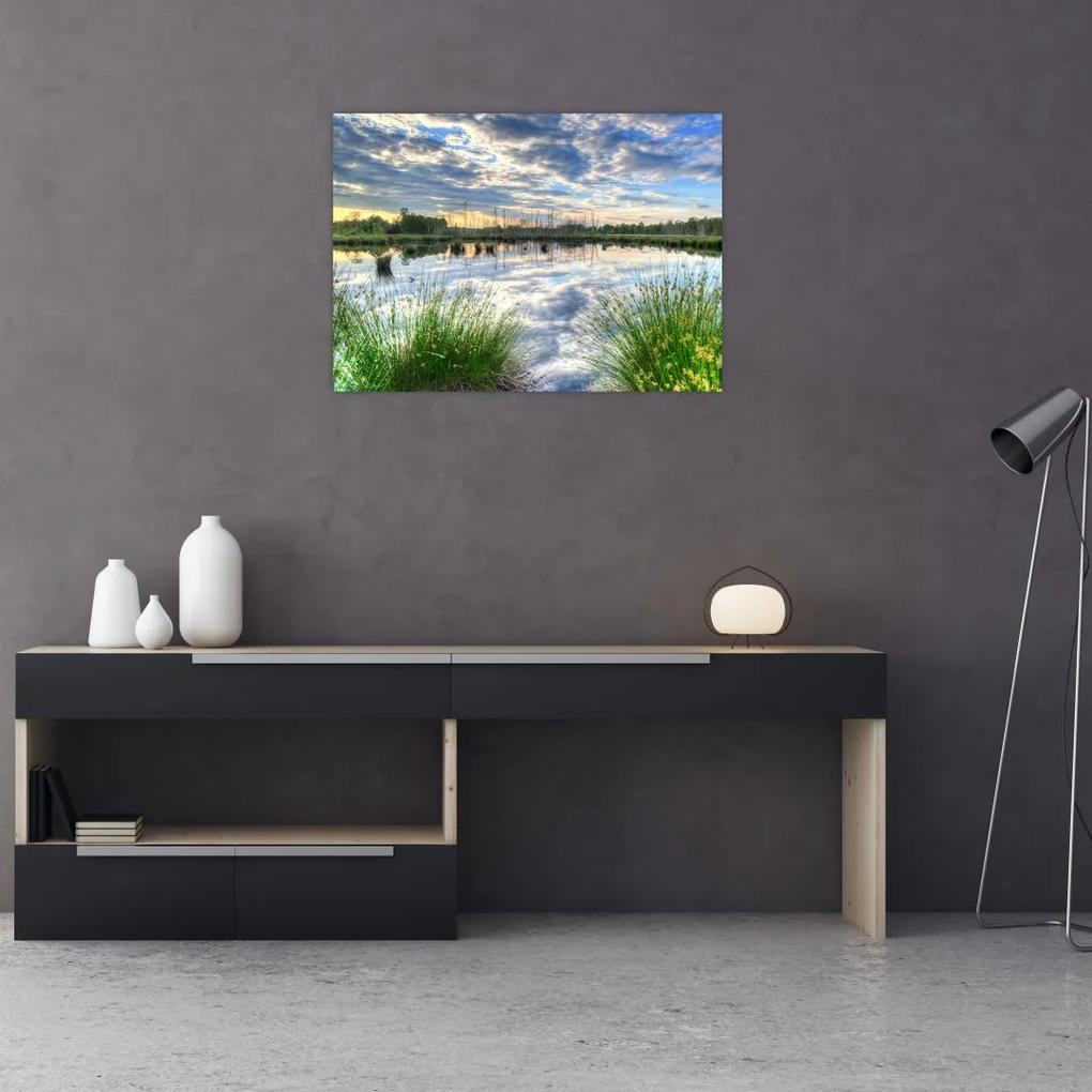 Sklenený obraz jazera s tŕstím (70x50 cm)