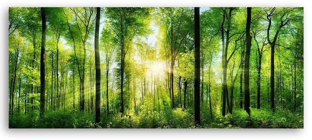 Obraz na plátně, Krajina Les Zelená příroda - 120x40 cm