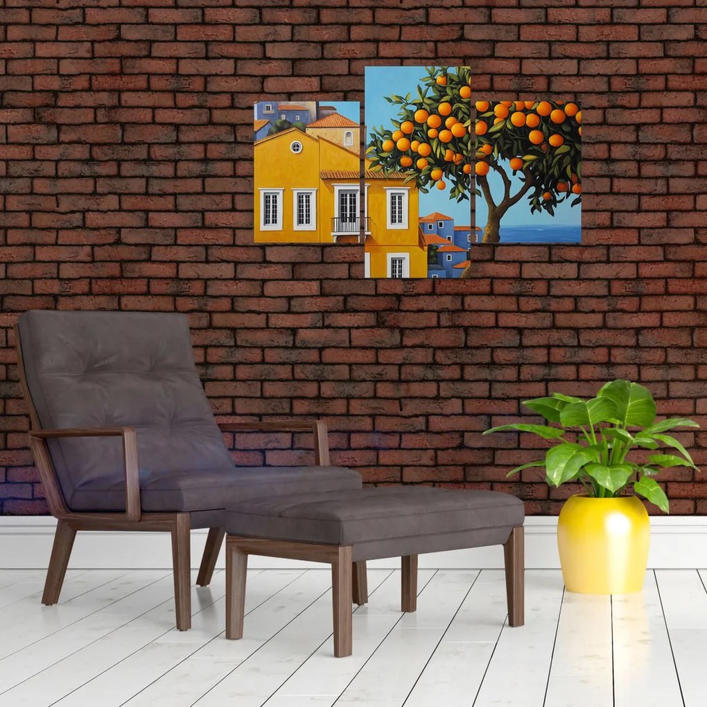 Obraz - Pomarančovník (90x60 cm)