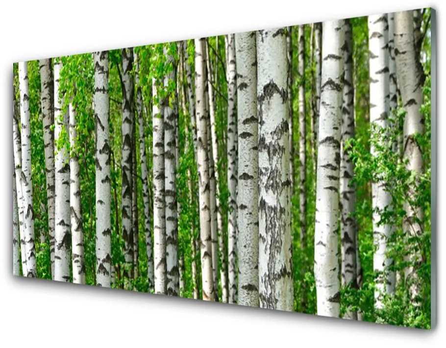 Skleneny obraz Les rastlina príroda 100x50 cm