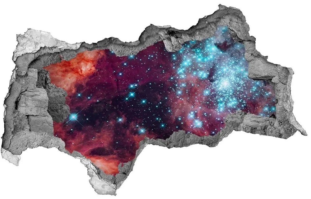 Foto fotografie diera na stenu Magellanov mračno nd-b-119807519