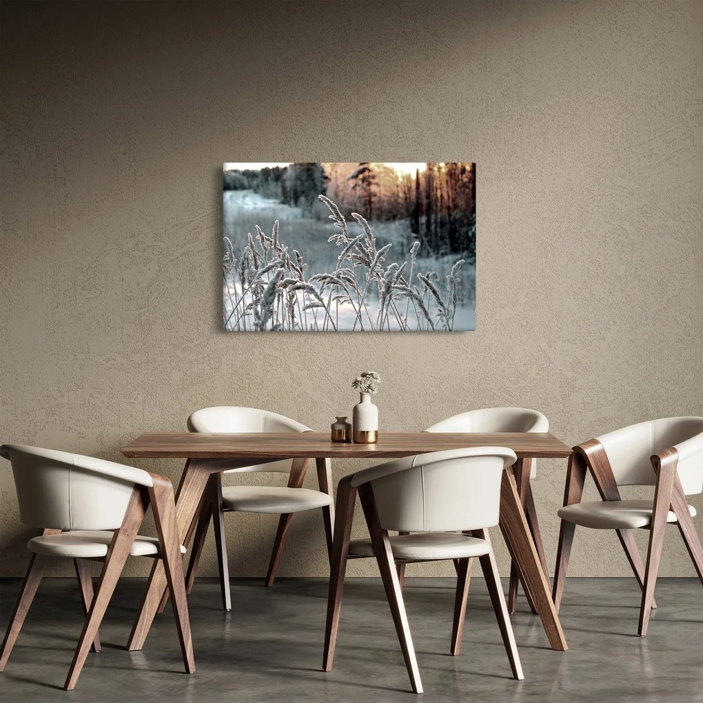 Obraz - Zamrznutá lúka (90x60 cm)