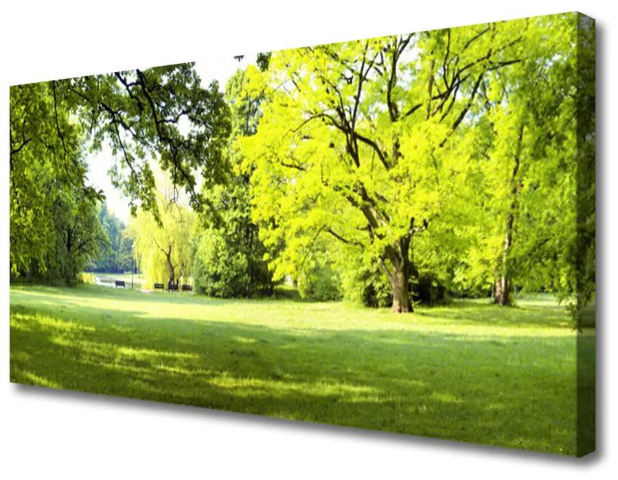 Obraz Canvas Tráva stromy park príroda 120x60 cm