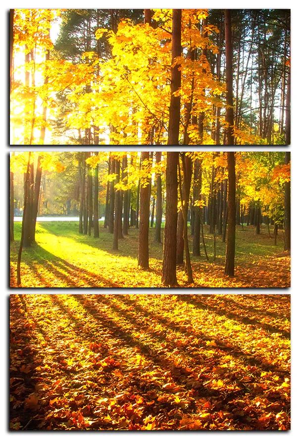 Obraz na plátne - Jesenný les - obdĺžnik 7176B (90x60 cm  )