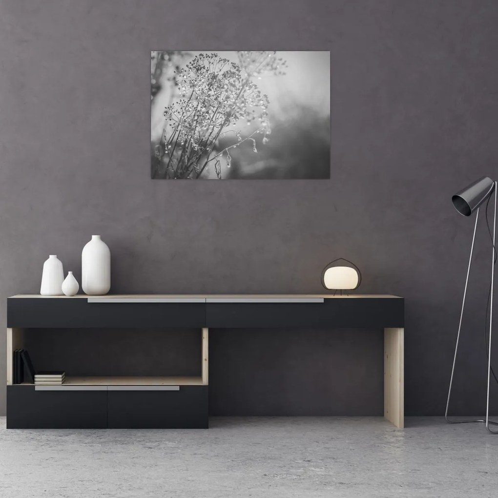 Obraz - Lúka po daždi (70x50 cm)