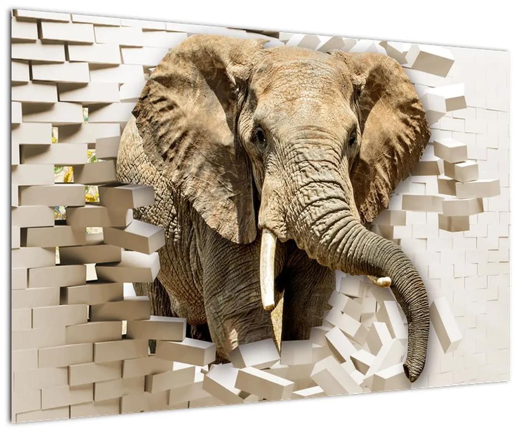 Obraz - Slon prerážajúci múr (90x60 cm)