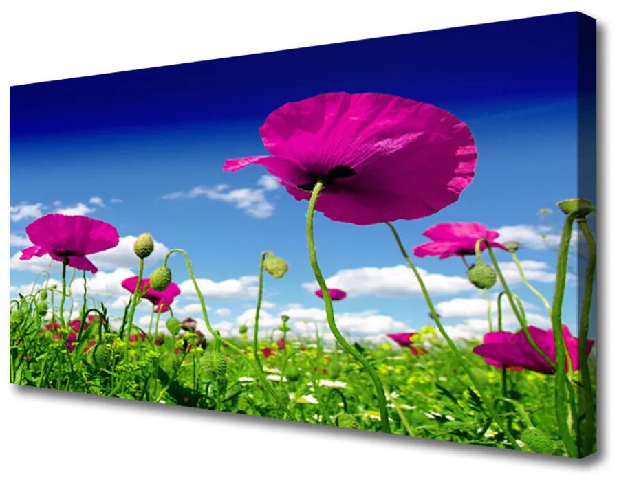 Obraz Canvas Lúka kvety nebo príroda 140x70cm
