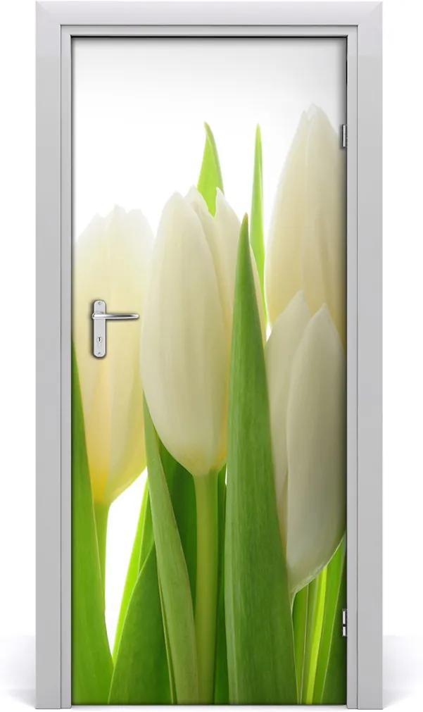Fototapeta na dveře Bílé tulipány