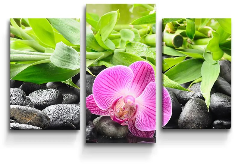 Sablio Obraz - 3-dílný Ružová Orchidea - 75x50 cm