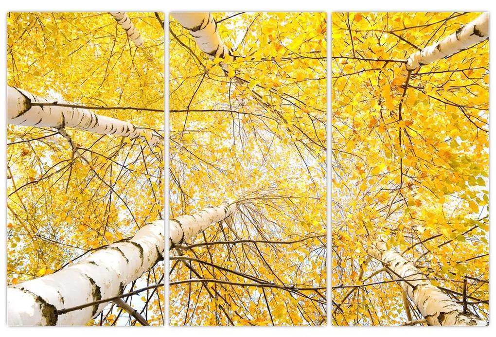 Jesenné lístie - moderný obraz