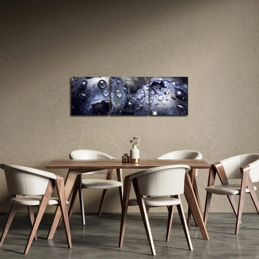 Obraz ovocia s kvapkami vody (s hodinami) (90x30 cm)