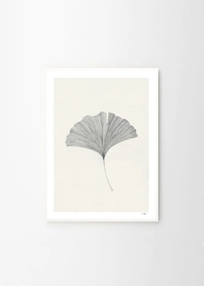 Plagát 50x70 cm Ginkgo Leaf – Ana Frois – The Poster Club