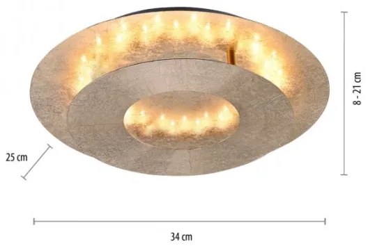 Paul Neuhaus 9011-12 - LED Stropné svietidlo NEVIS LED/6W/230V zlatá