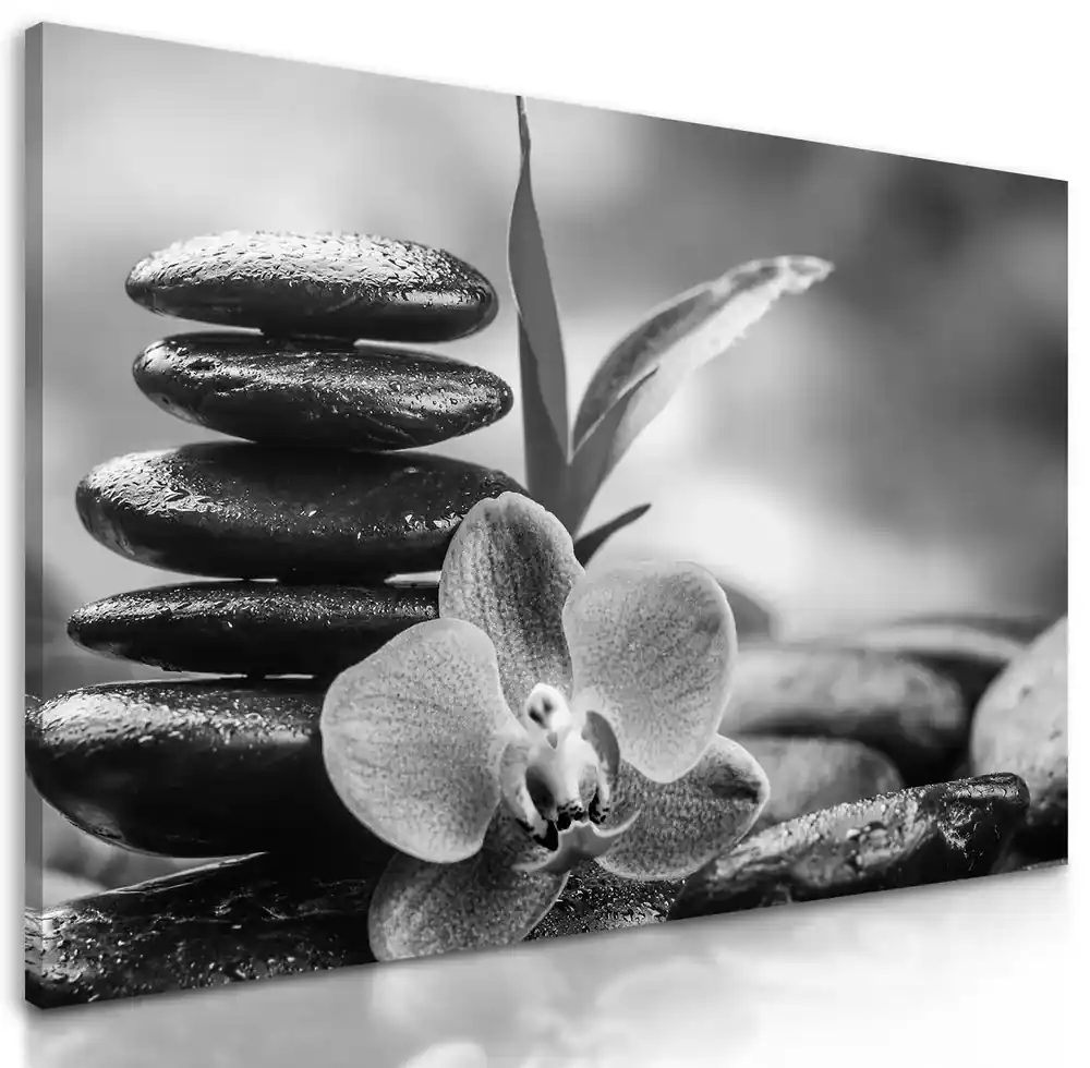 Obraz čiernobiele wellnes kamene v srdci prírody | BIANO