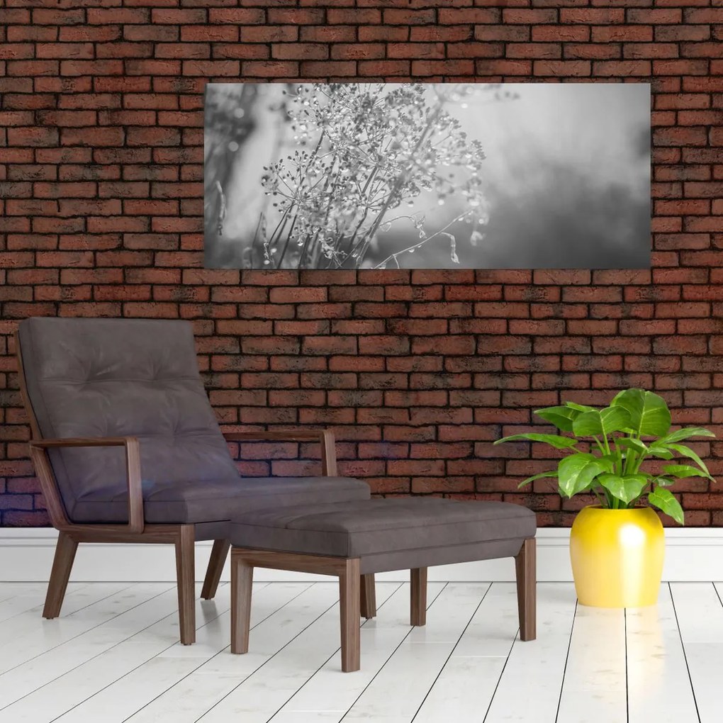 Obraz - Lúka po daždi (120x50 cm)