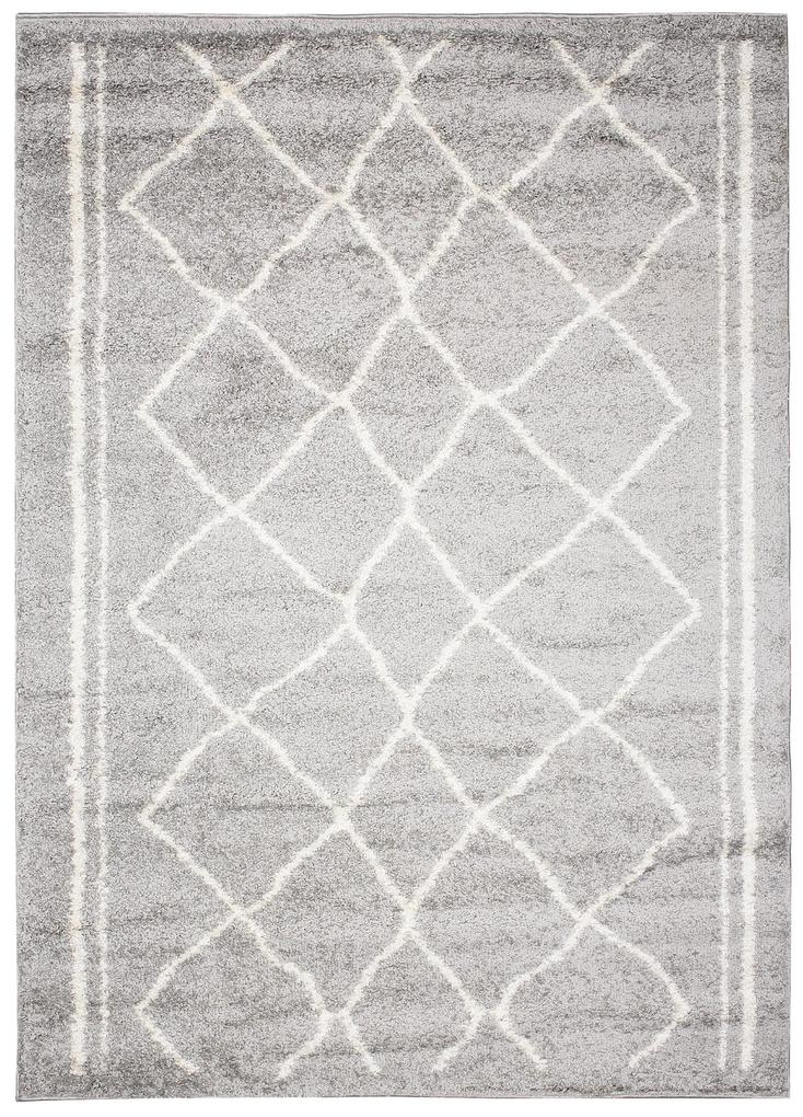 Dizajnový koberec BIRDIE - SHAGGY ROZMERY: 120x170