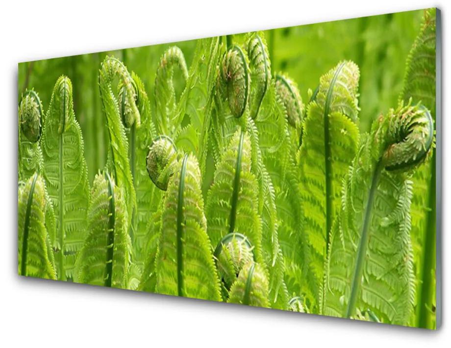 Obraz plexi Rastlina príroda 100x50 cm