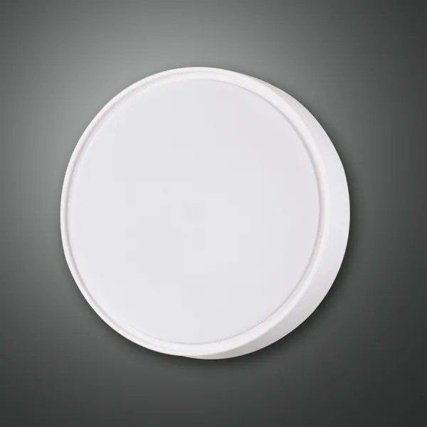 Fabas 3229/61/102 - Technické svietidlo HATTON 1xE27/42W/230V IP65