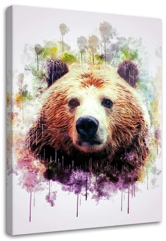 Gario Obraz na plátne Farebná hlava medveďa - Cornel Vlad Rozmery: 40 x 60 cm