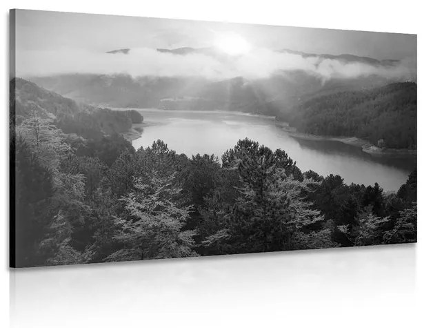 Obraz rieka uprostred lesa v čiernobielom prevedení Varianta: 120x80