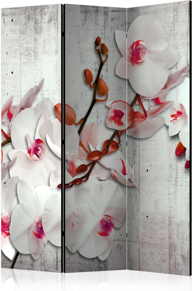 Paraván - Concrete Orchid [Room Dividers] 135x172 7-10 dní