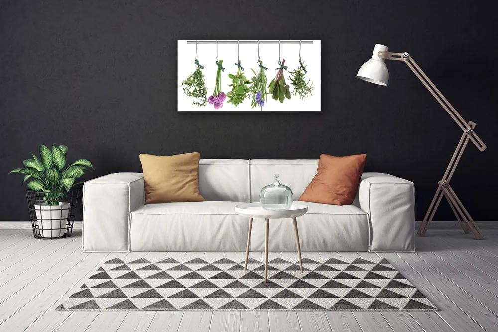 Obraz Canvas Plátky rastlina kuchyňa 120x60 cm