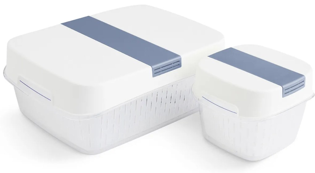 Rotho Špeciálny box na ovocie a zeleninu, s ventiláciou a filtrom, do chladničky, Fridge Fresh, 1,6 l, modrý